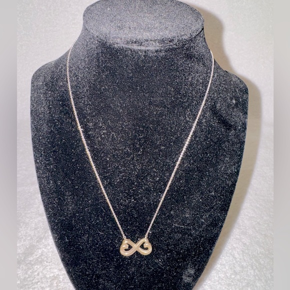Tiffany & Co. Jewelry - Tiffany and Co. Paloma Picasso Necklace…